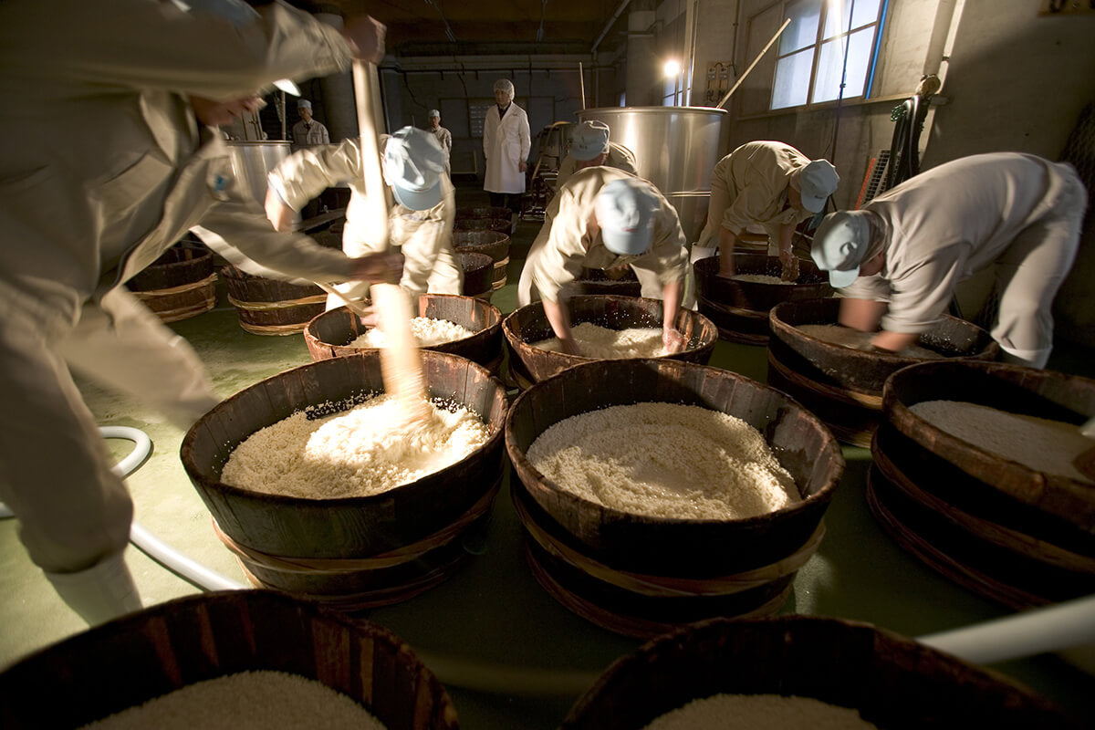 Kikumasamune Brewing Company