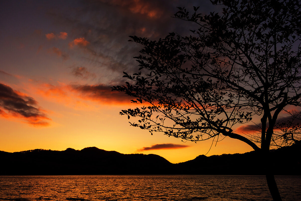 Kondo Brewing Company