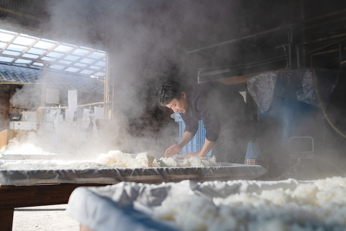 Yano Brewing Company