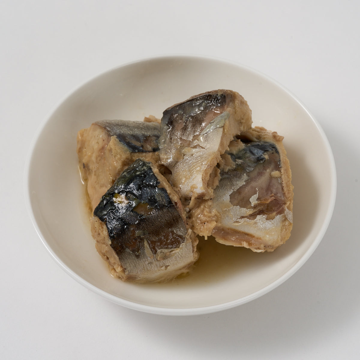 Aiko Chan Atlantic Mackerel in Water