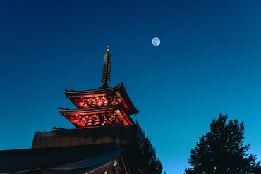 Sake for Tsukimi, the Harvest Moon