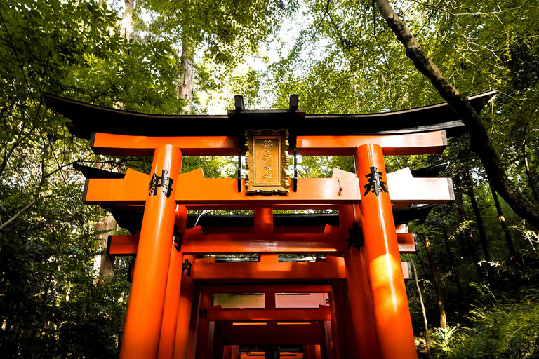 Sake Ceremonies and Traditions You Should Know