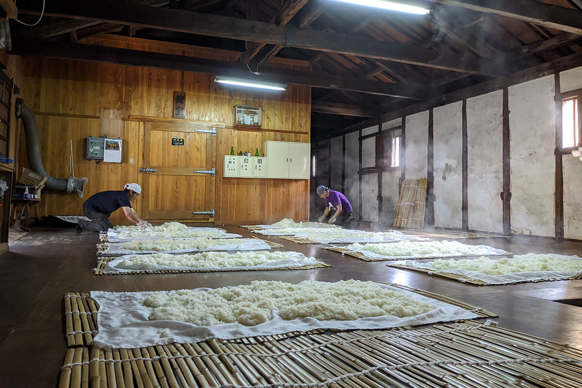 Enoki Brewing Company