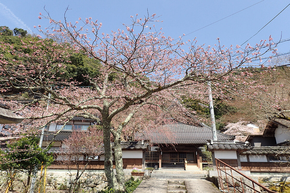 Suwa Brewing Company