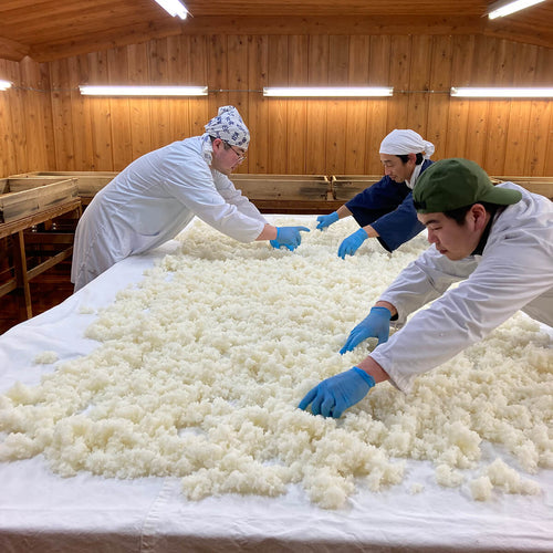 The process of making koji in the koji room