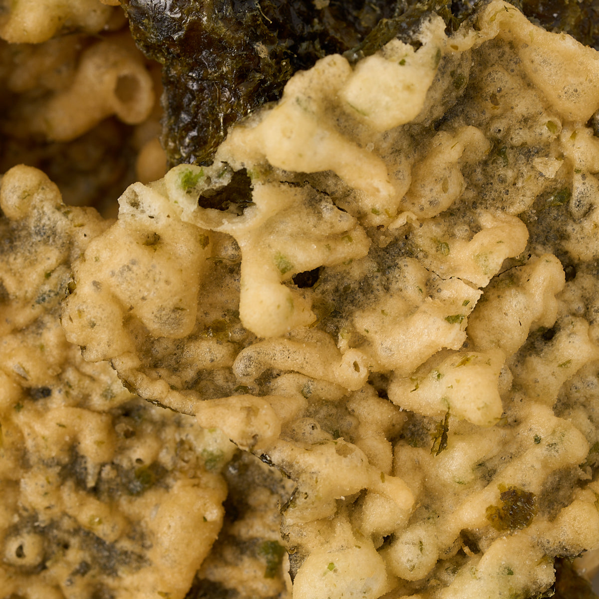 Daiko “Nori Tempura Chips” Seaweed (Chedder Cheese Flavor)