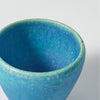 Aosaiyu Guinomi Cup, upward angled close view Thumbnail