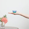 “Sango no Umi” Guinomi Glass, on a hand Thumbnail
