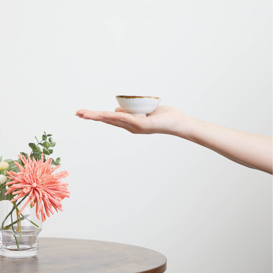 “Shohogama” Somekarakusa Sake Set, on a hand